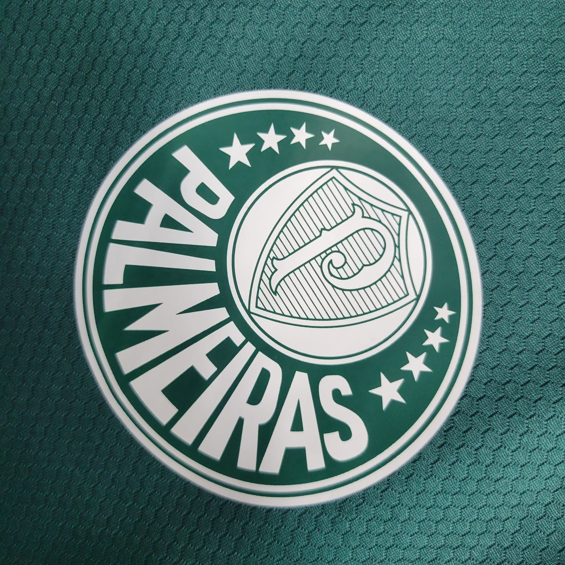 Camisa Palmeiras Treino Green 23/24 Puma - Verde