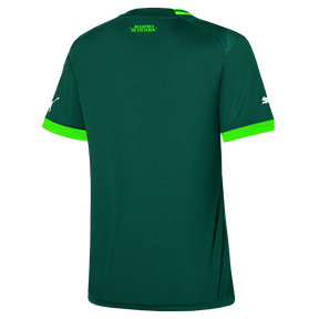 Camisa Palmeiras I 23/24 Puma - Verde