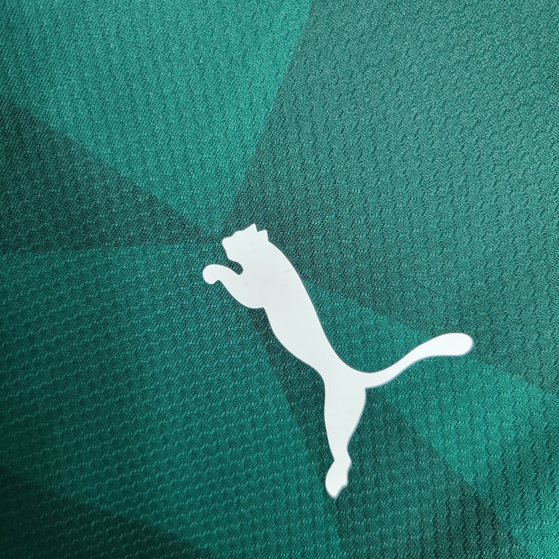 Camisa Palmeiras I 23/24 Puma - Verde